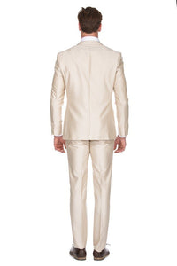 Men's Slim Fit 2pc Suit